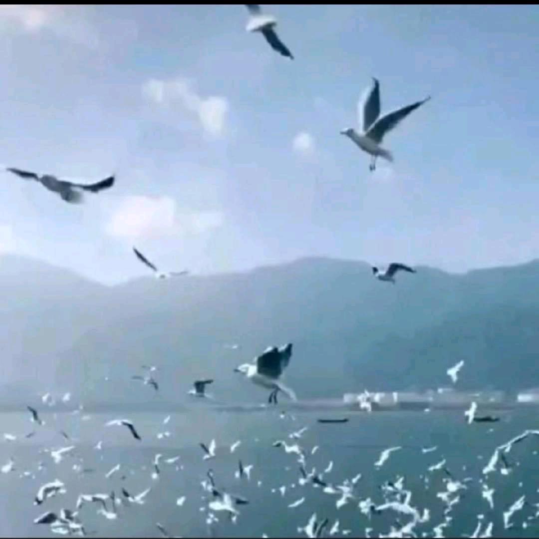 浪仔
