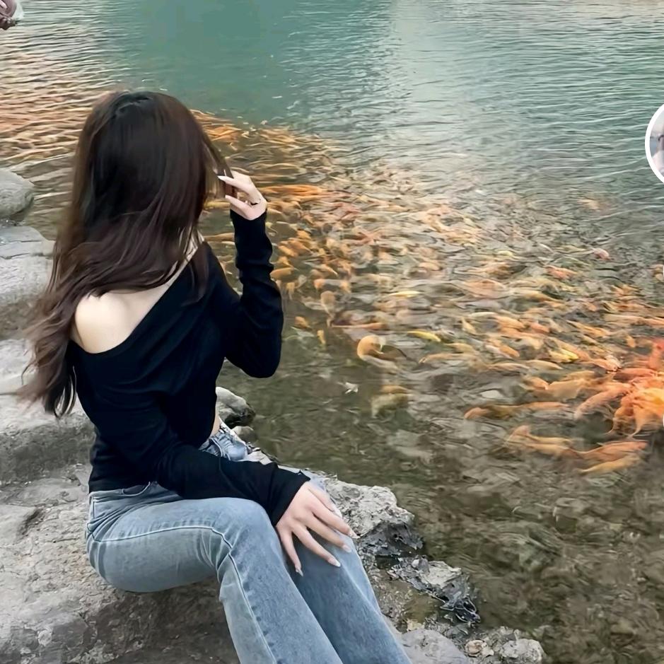 .仙人掌.