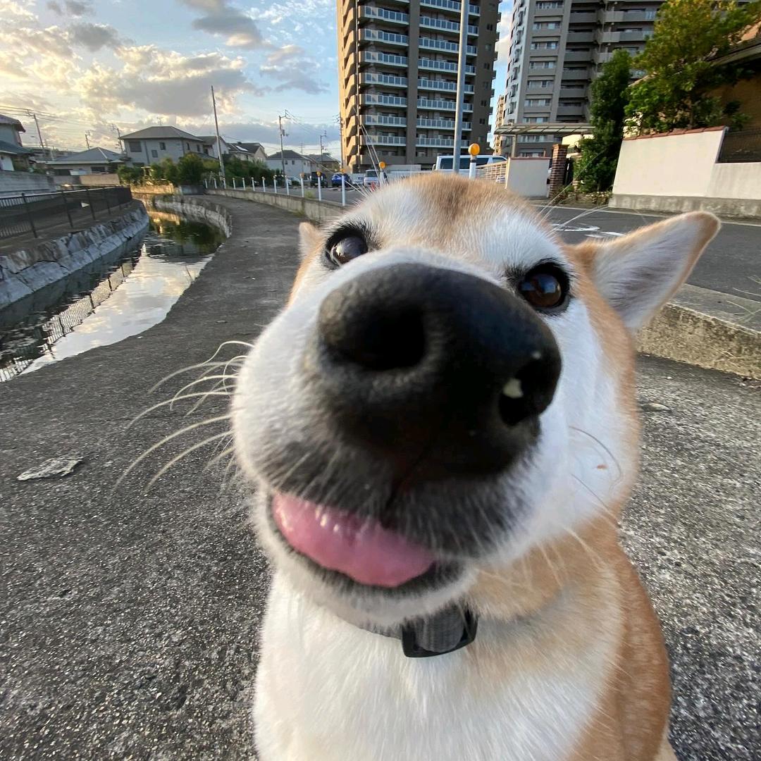 有点废柴