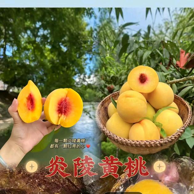 炎陵酃峰桃子