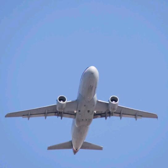 阳光彩虹小白马