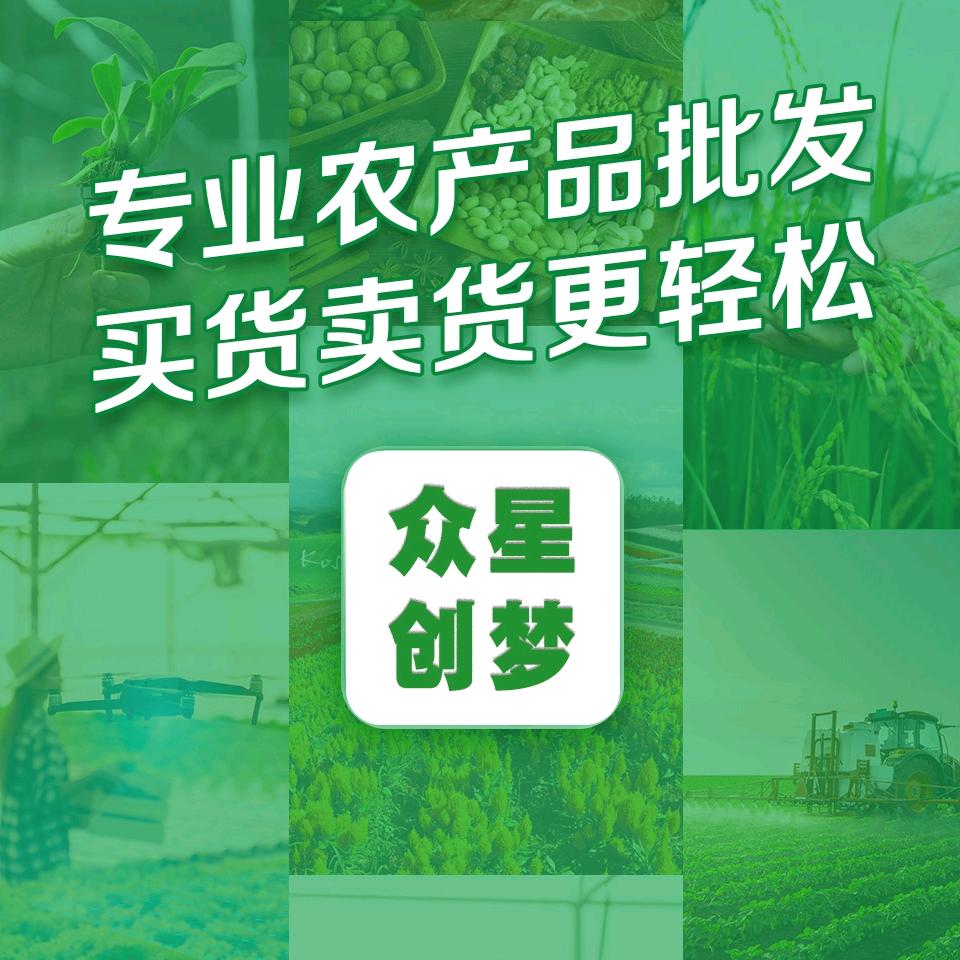 众星创梦电子商务