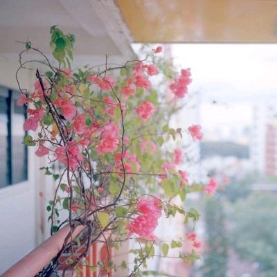 @清