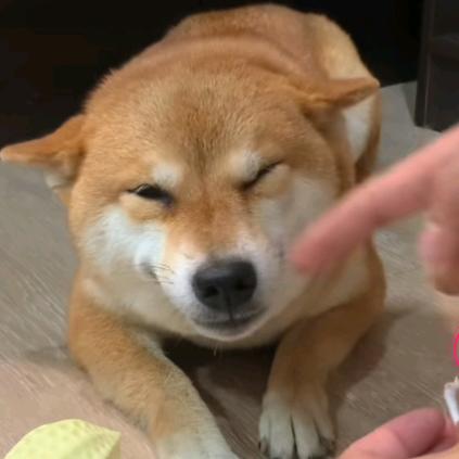 外迁