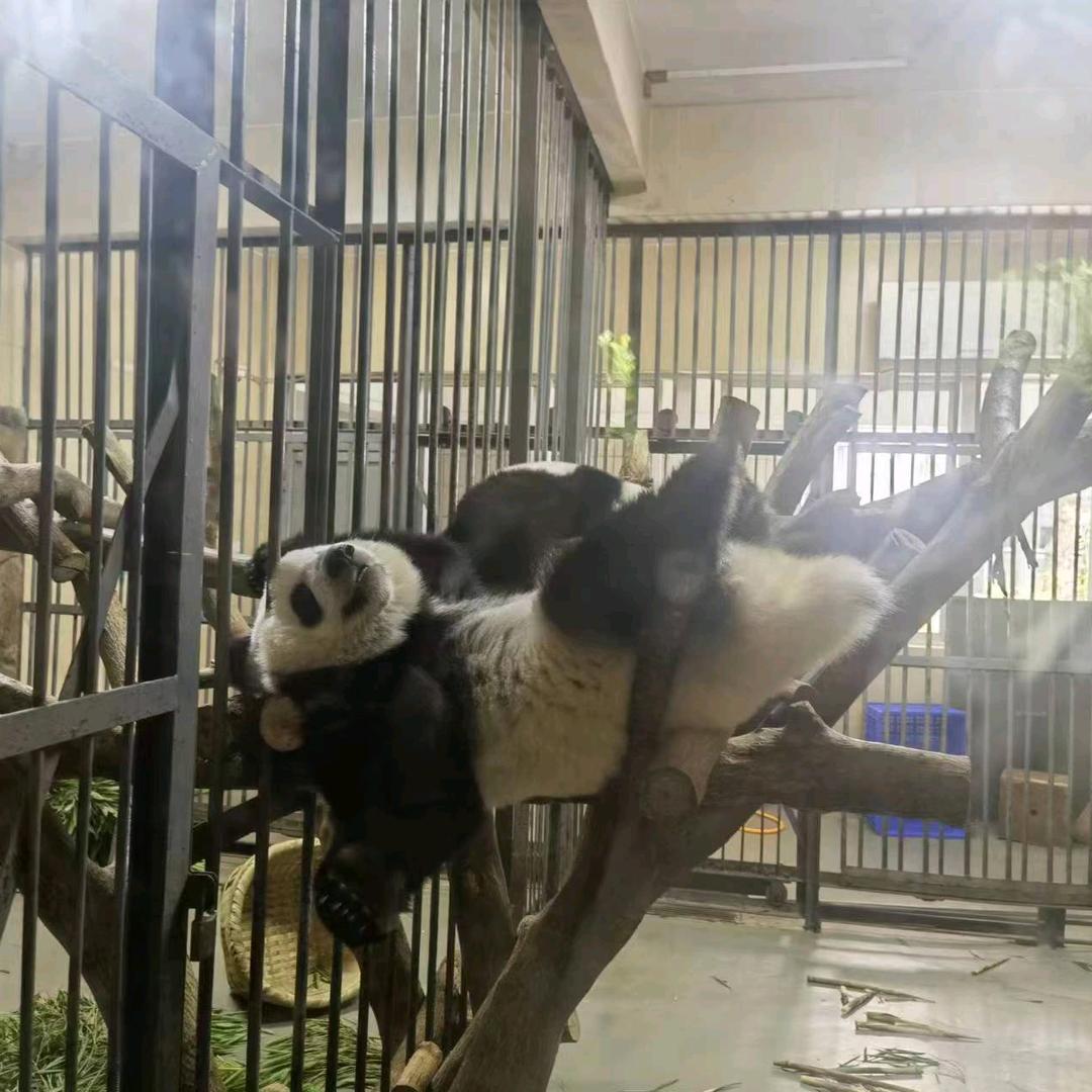 美美新中式美睫美甲店官方号