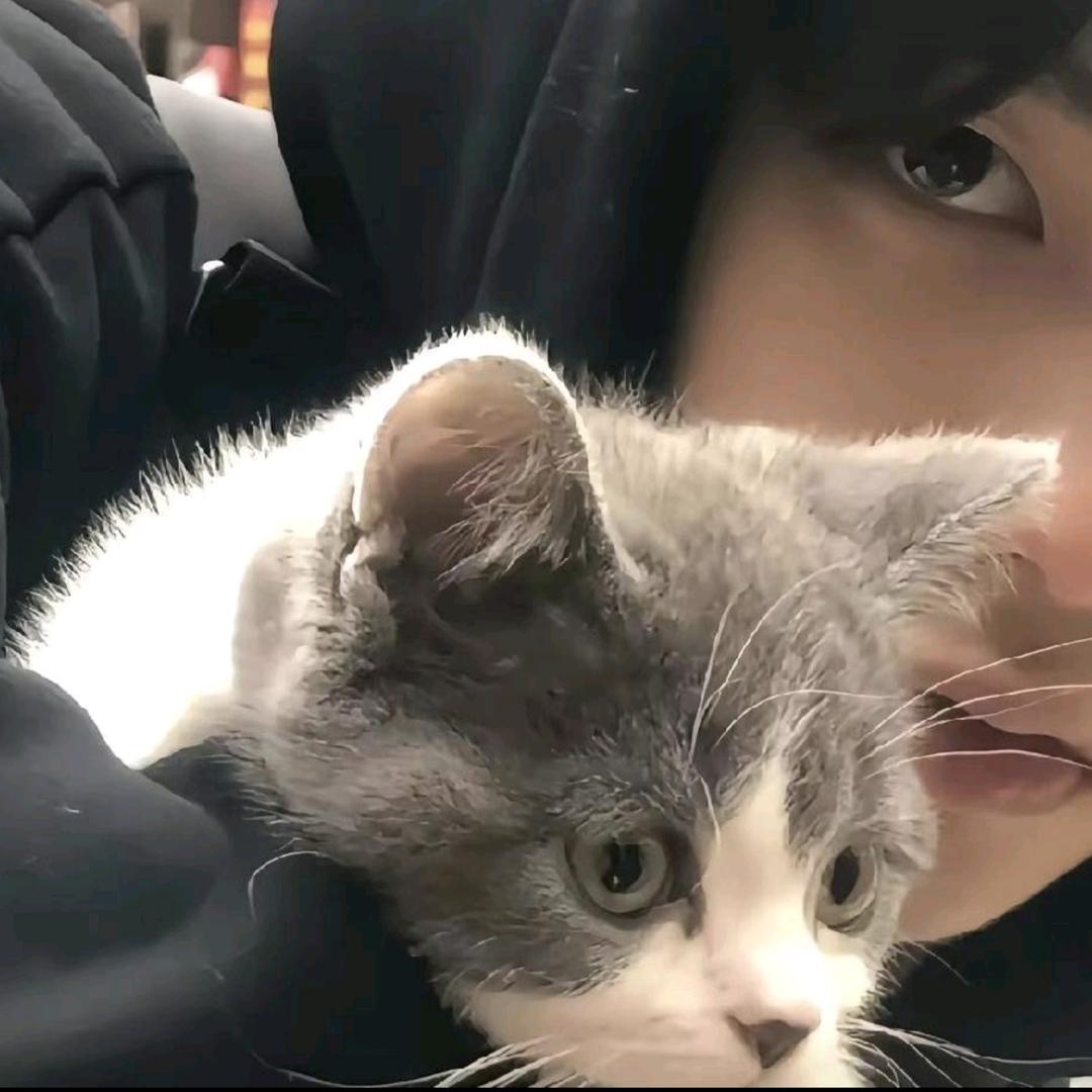 小方不爱玩游戏