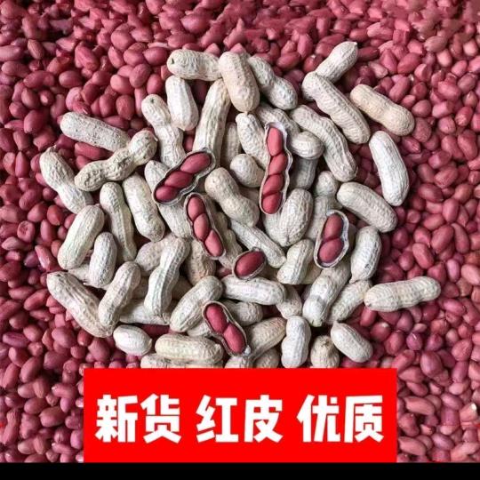 农家阿姐干果铺