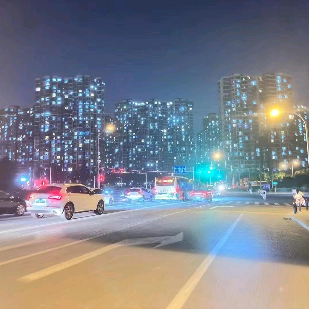 派多格宠物西吉店