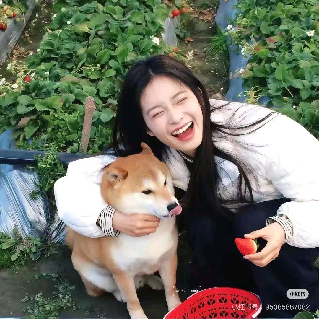 王王王