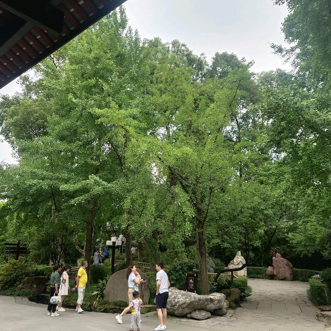 幸福快乐每一天