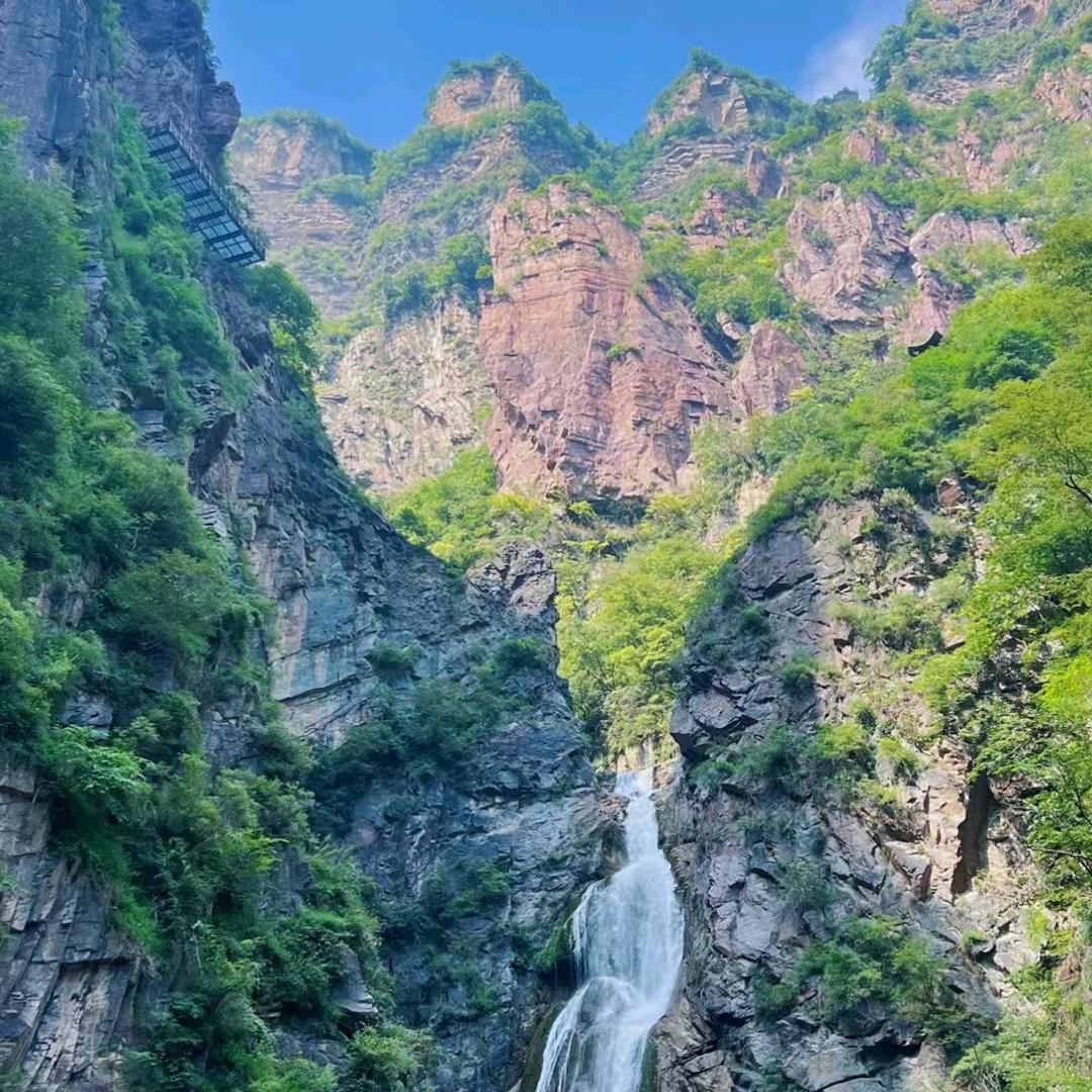 樱花小泡芙