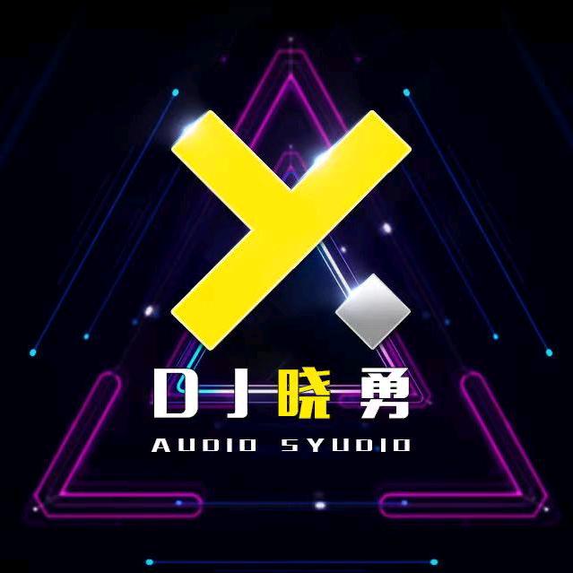 Dj晓勇Mix