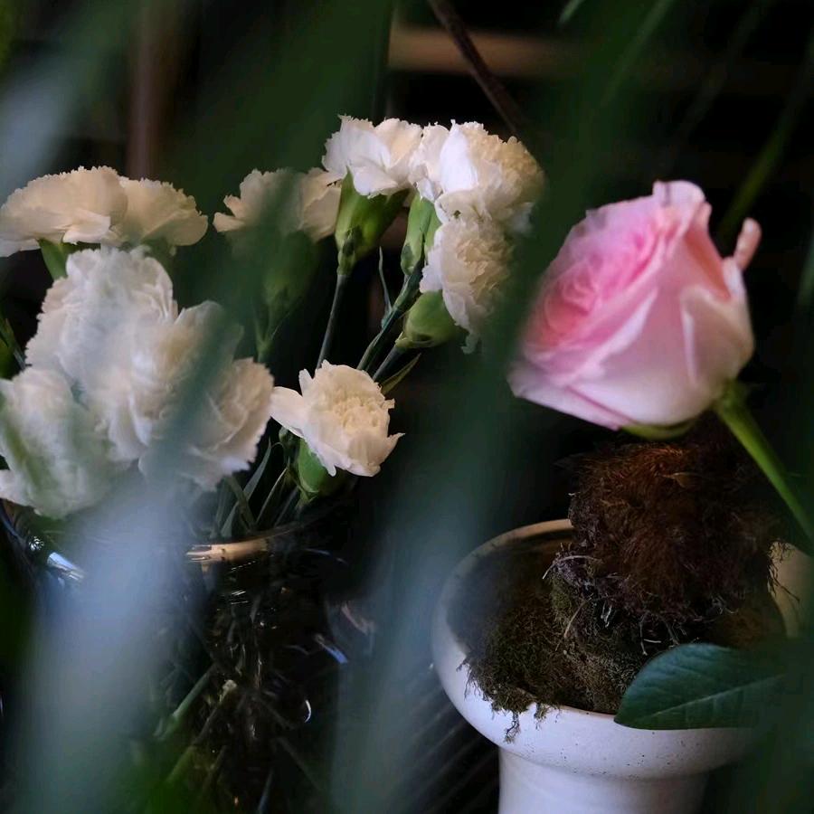 丽人  美甲美睫