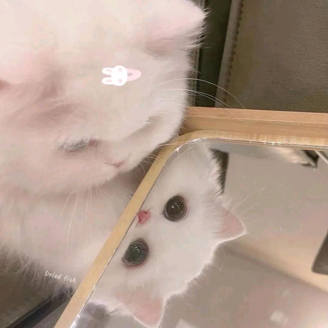 缘兮