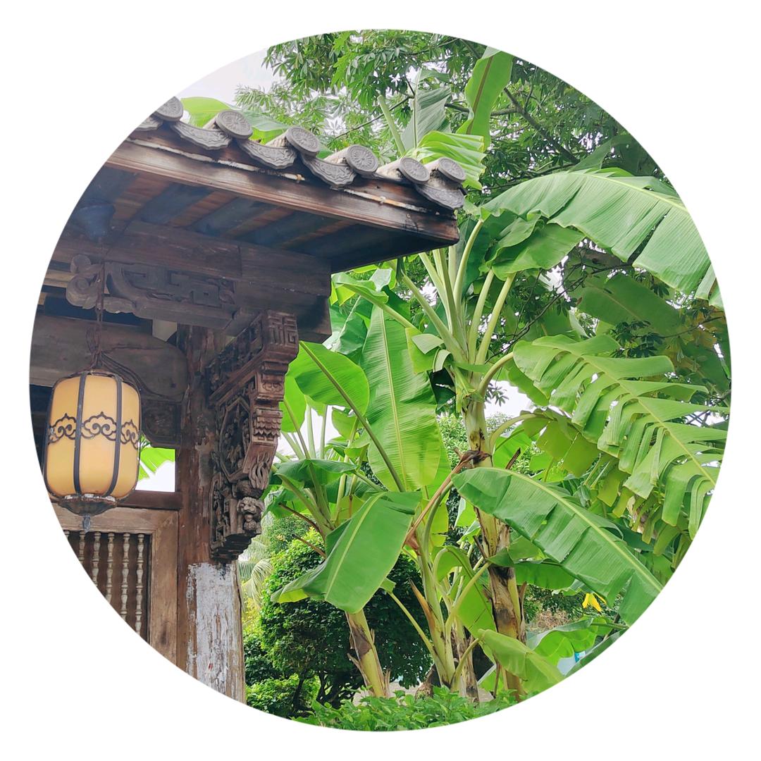 蕉下客