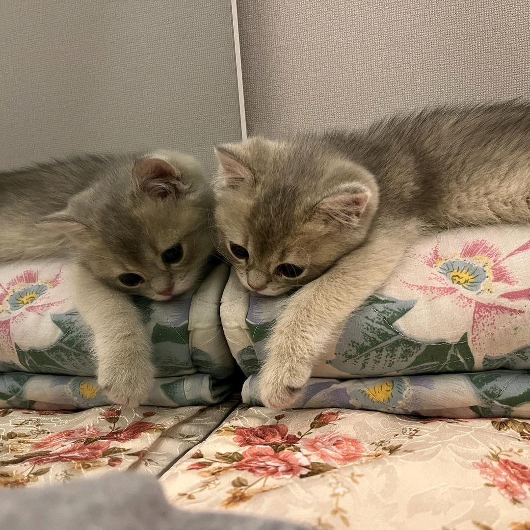 名字刚好七个字