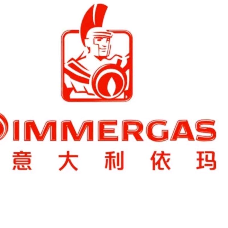 汉中依玛壁挂炉👑