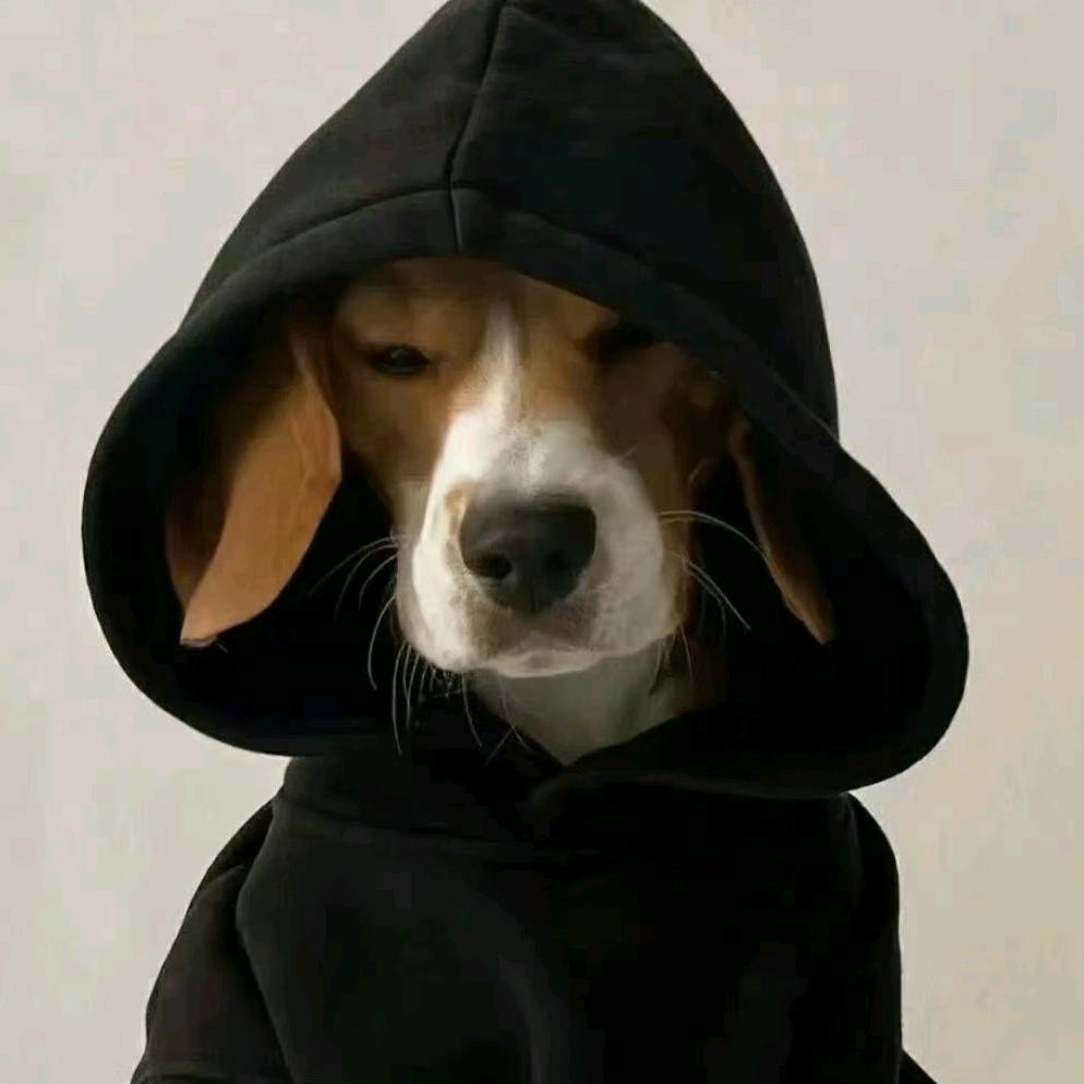 可达鸭呀呀呀