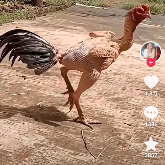 心痛