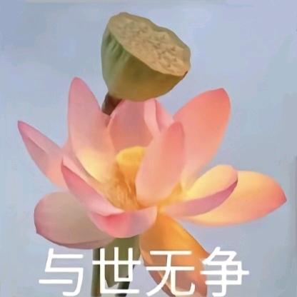 赵麒皓