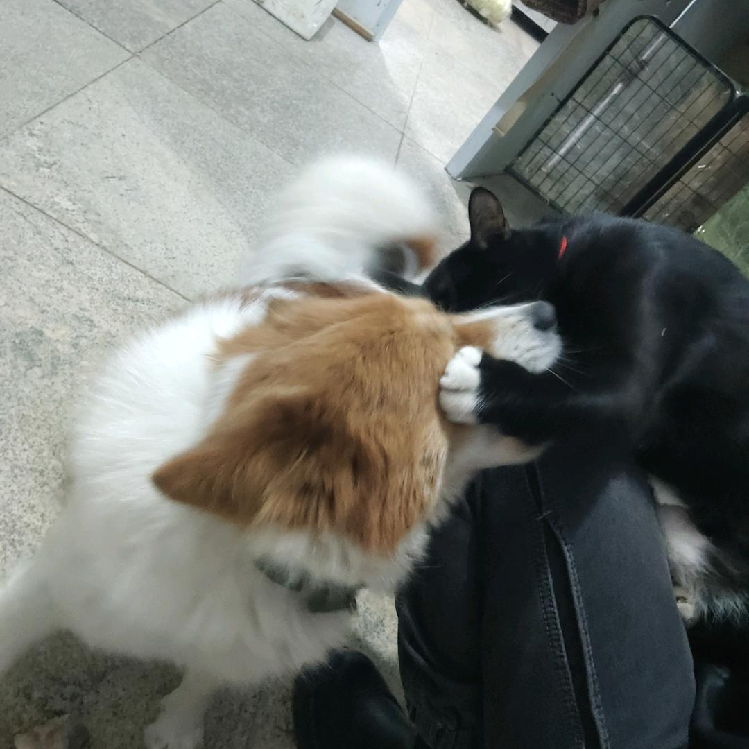 舍得