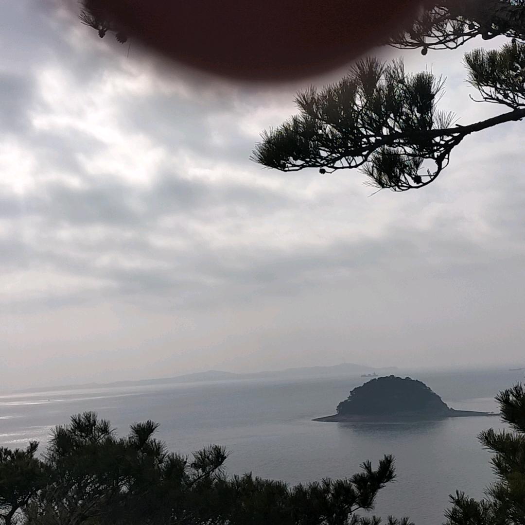 张继聪