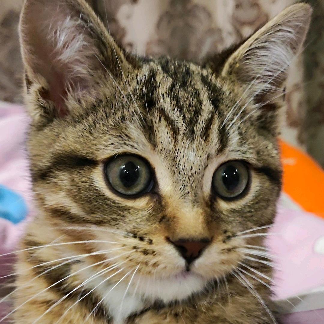 吹泡泡只要2毛5