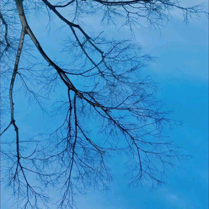 Greatgreat⭐️⭐️⭐️