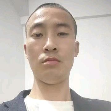 春天的树
