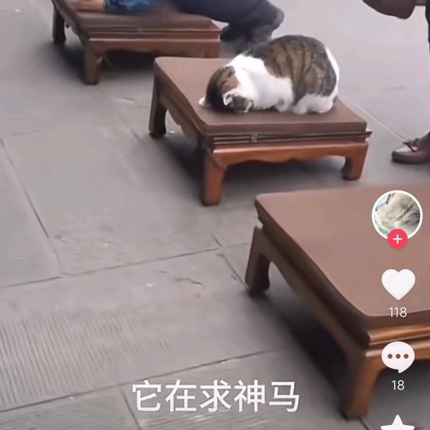 弄弄