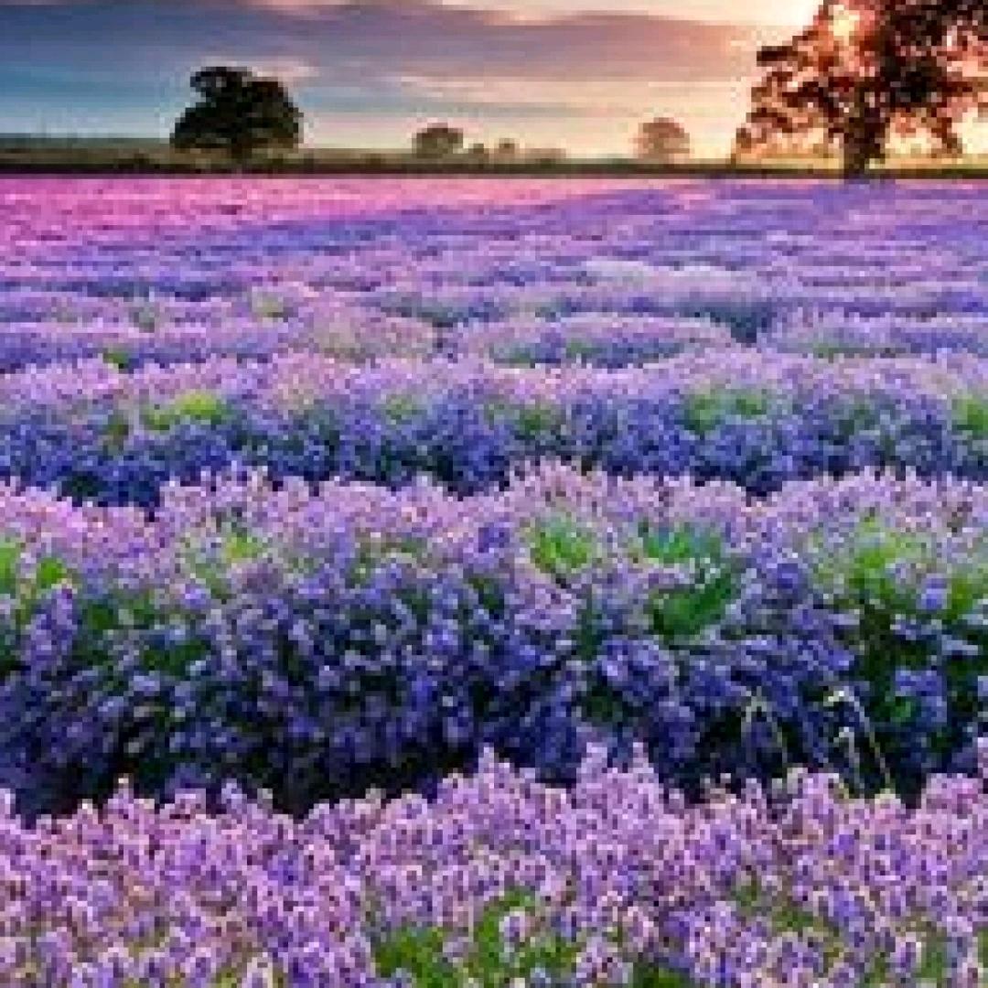 开心快乐每一天