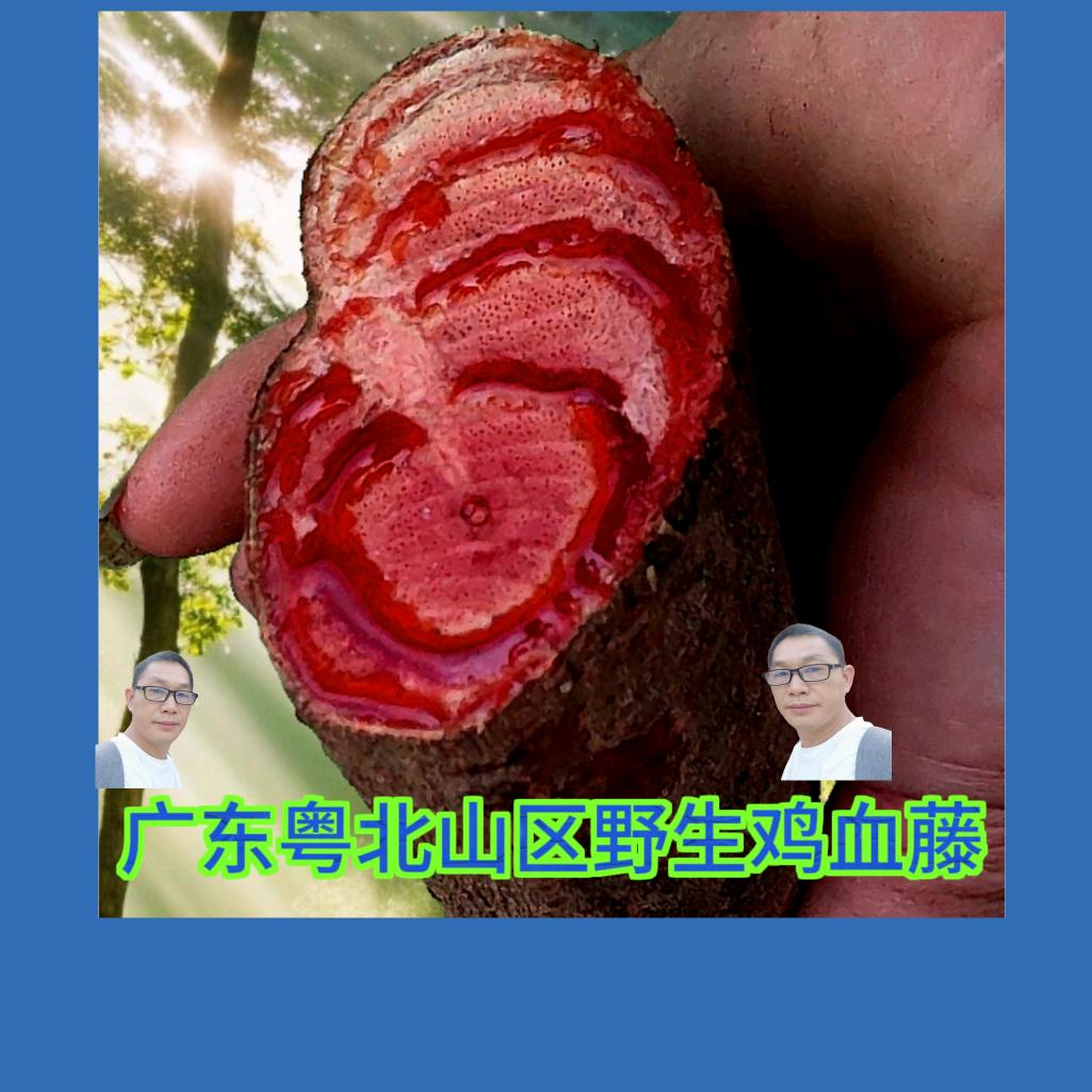 小呆熊滋补专营店