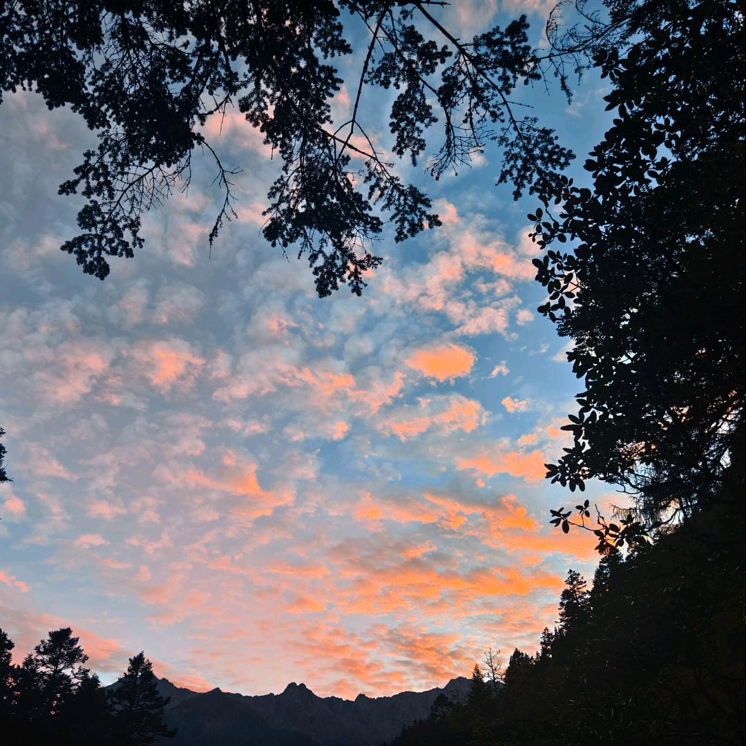 不讲李的打野日记