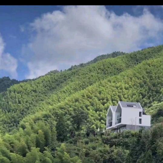 陈心陈意