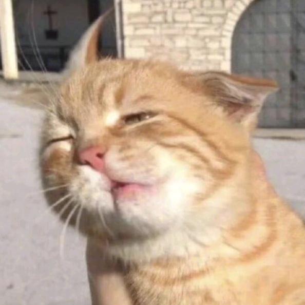 上码头整点薯条