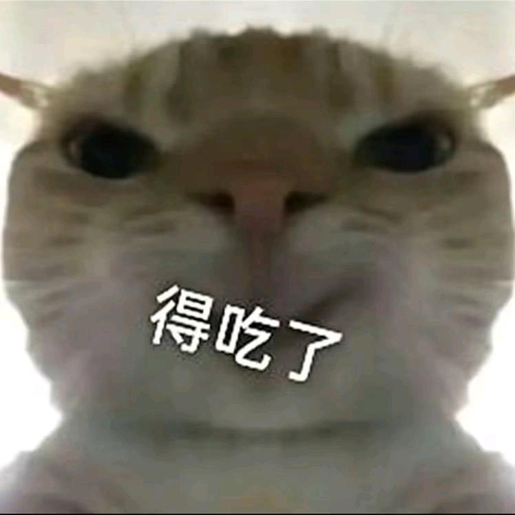 小赵.