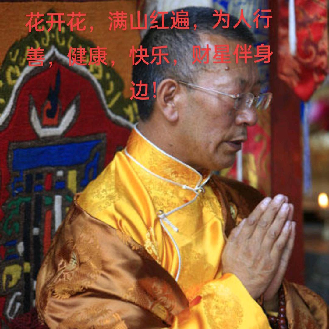 活神仙（开心哥小号，三个号轮换支持弱者）