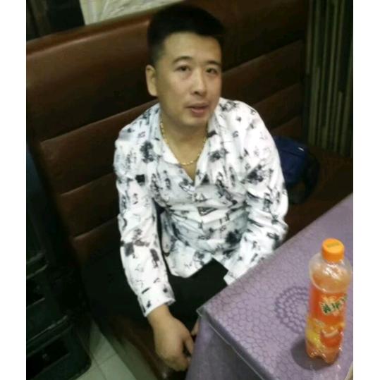 东北龙弟