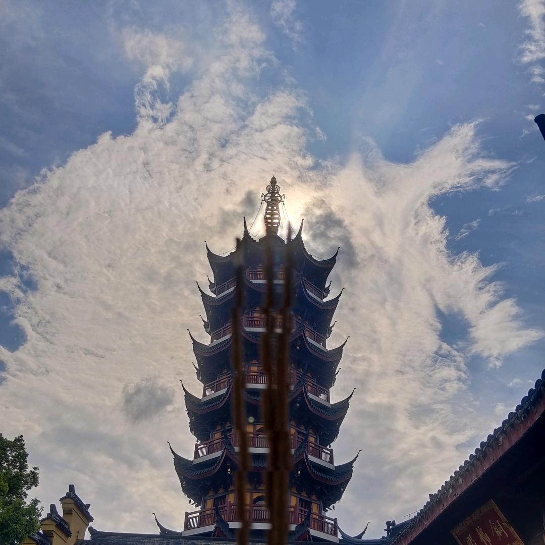 王后余生请多关赵