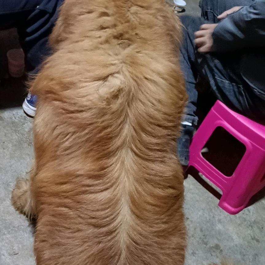 一个人的世界