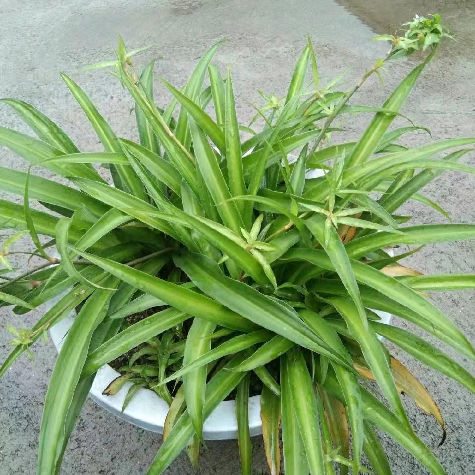 平凡就好