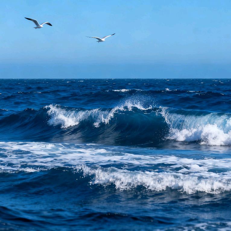 沉默在大海里的边角liao