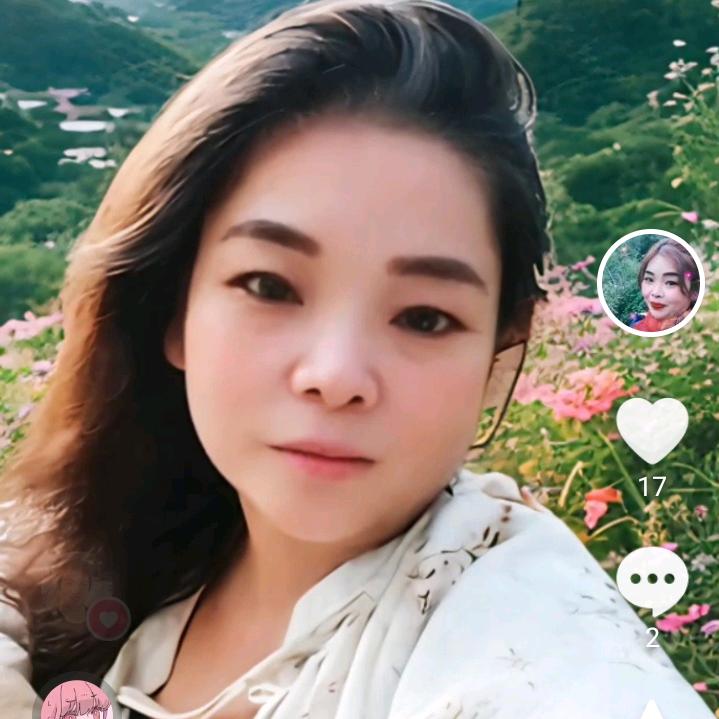 百灵