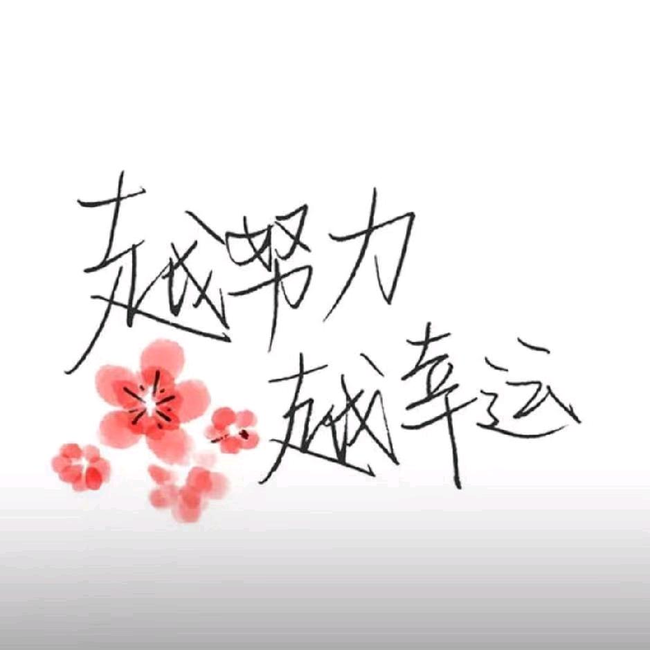 龙田镇西焦不古苗扬，广交天下苗木朋友