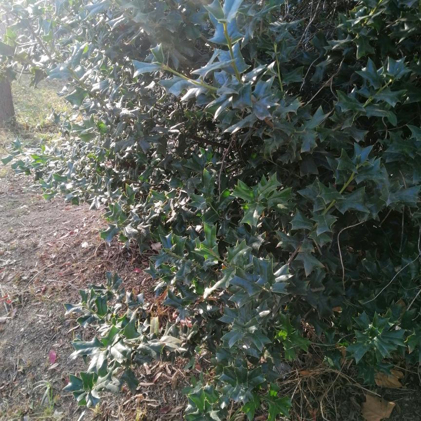 幸福一生（拒绝私聊）