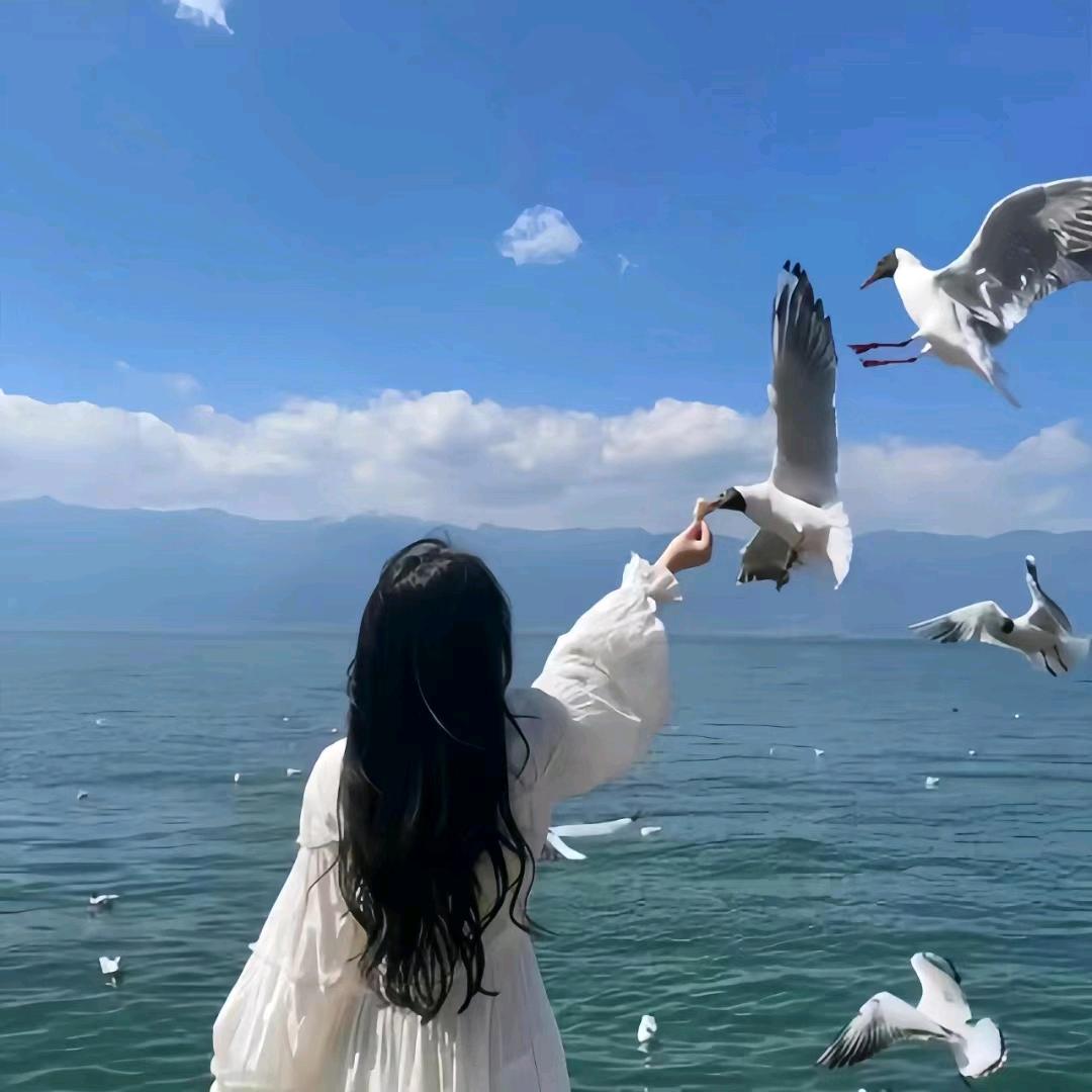 菲菲🎀