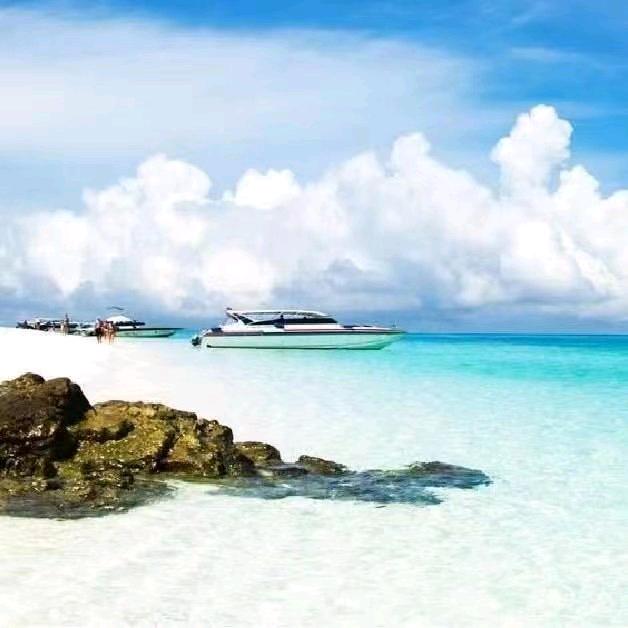 自由飞翔，✈️