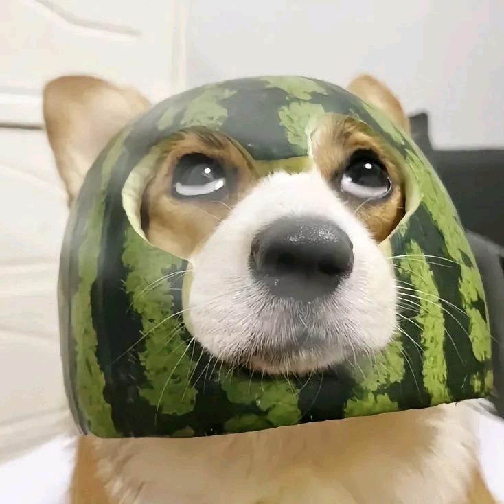 巧克力炸鸡蛋挞