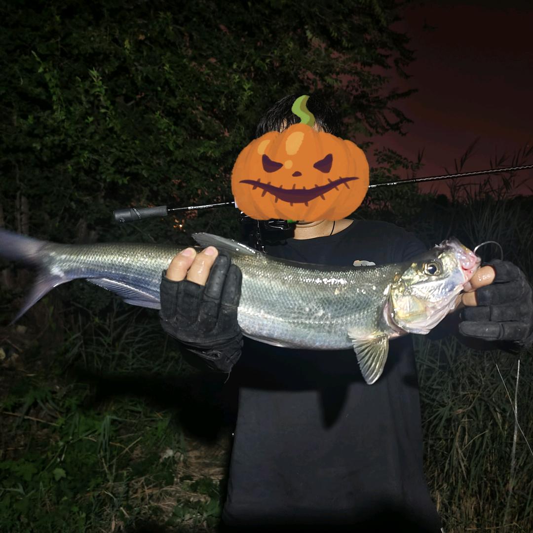 九河路亚.六六少爷🎣