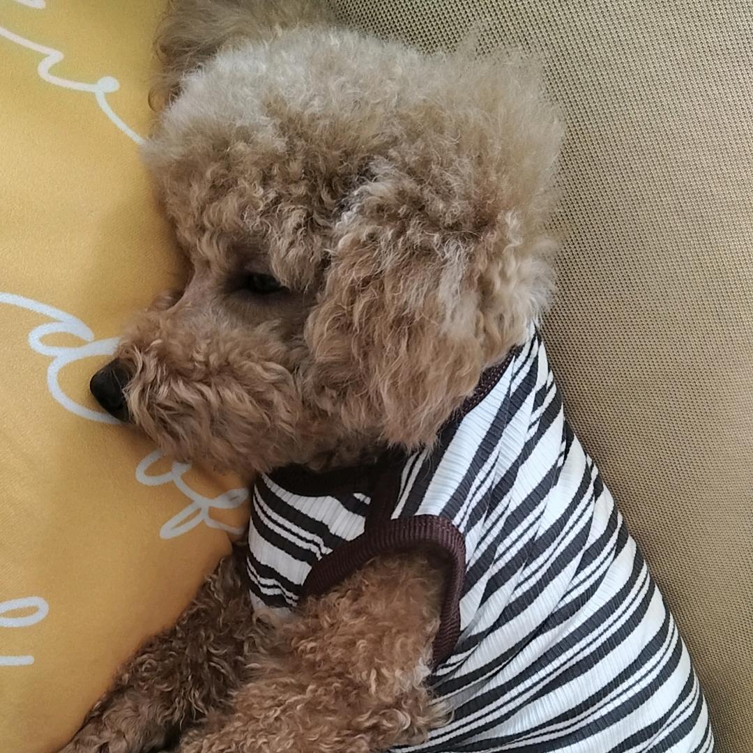 一个人过更自在